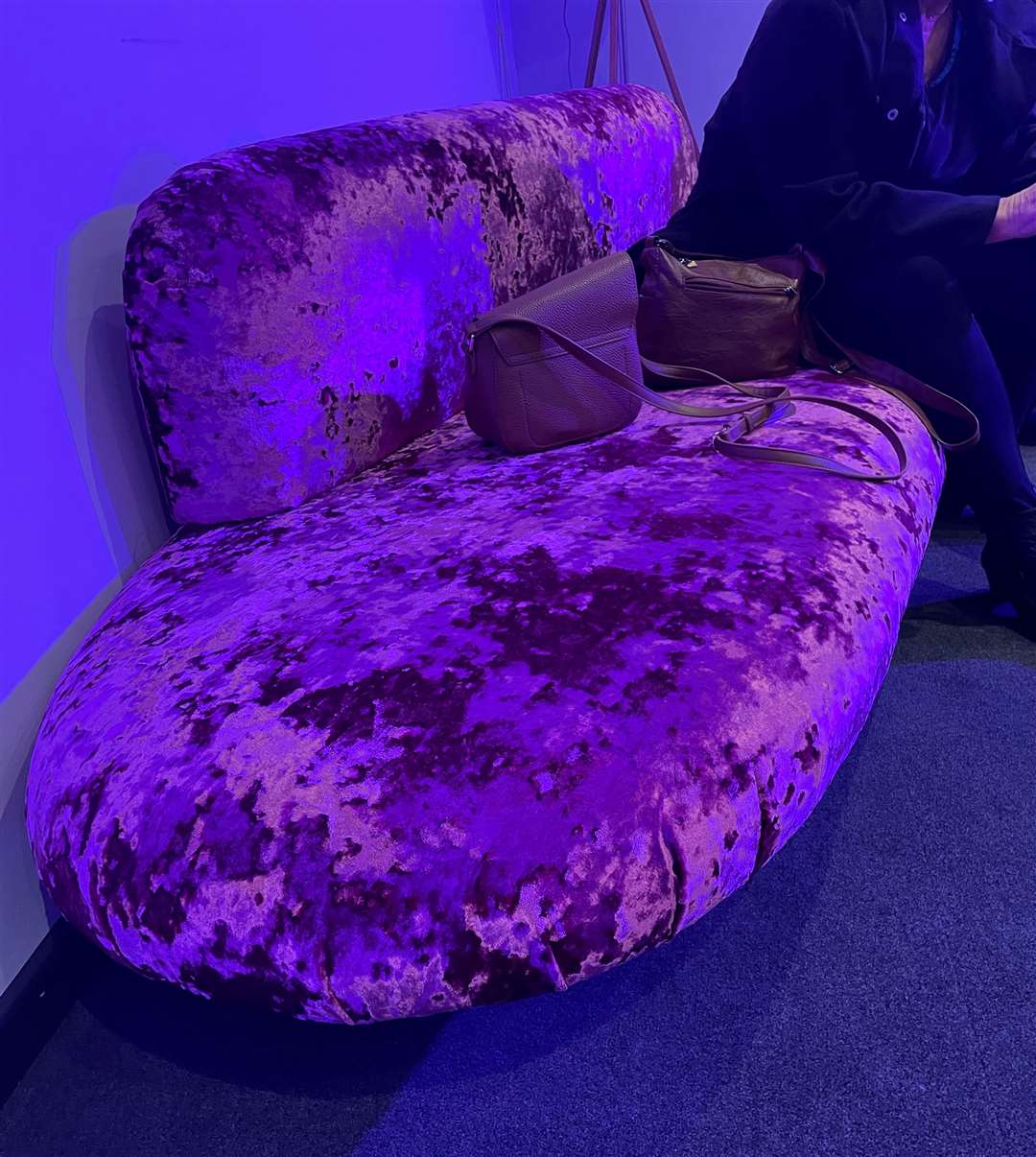 We took our seats on a sofa that looked like it belonged to Buck Rogers in a past life. It was too low for elder patrons to be able to use