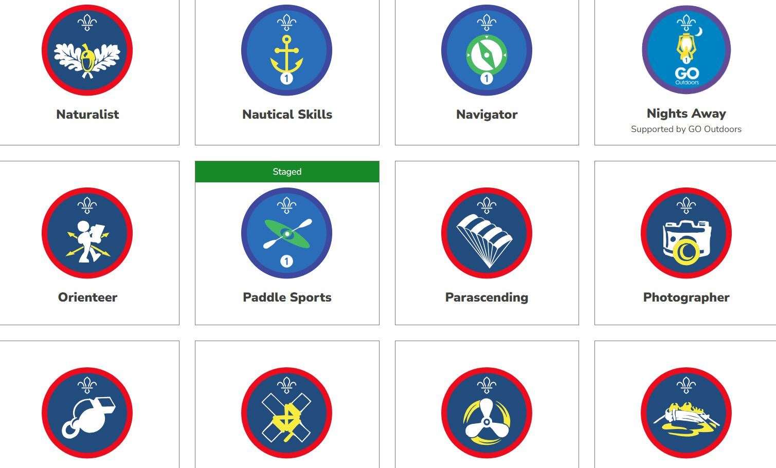 Some of the Scout badges youngsters can earn