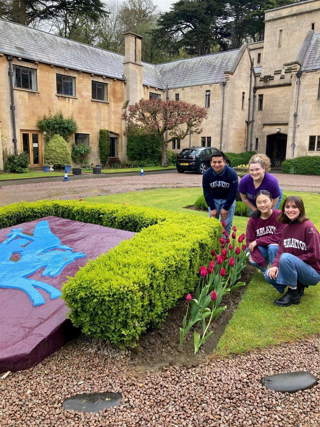 Maroon Tulips are appearing all over the district. | Image: South Kesteven District Council