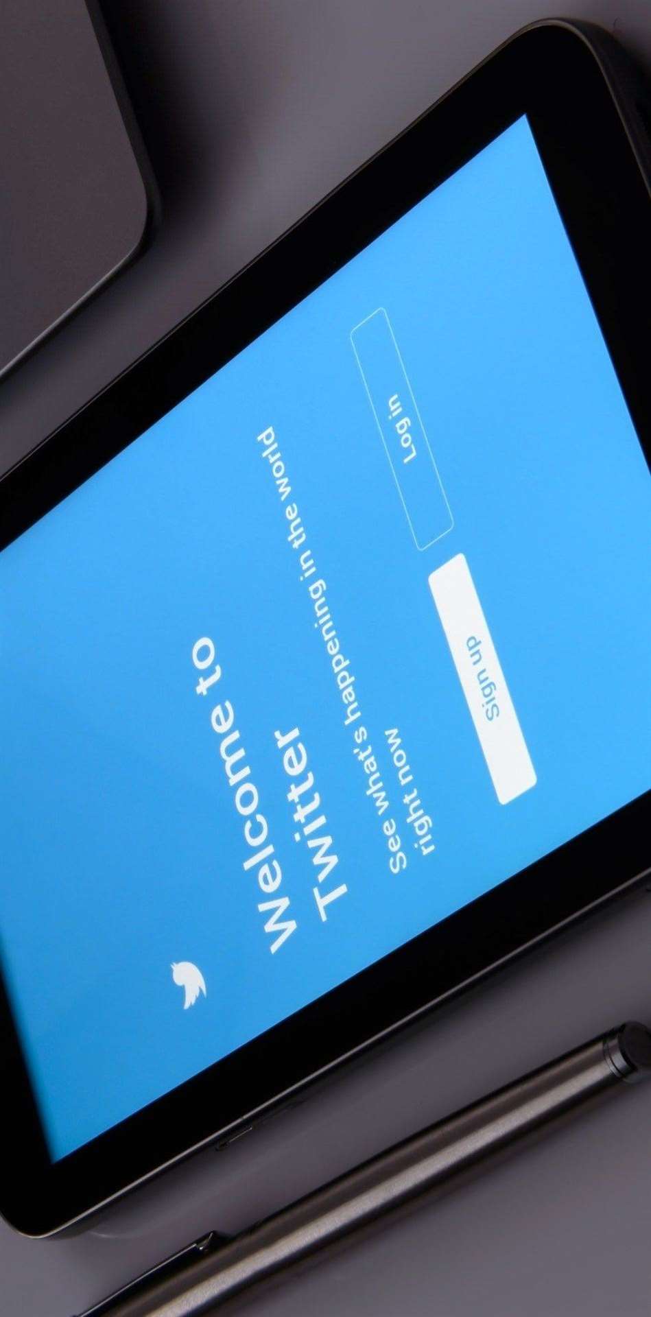 Twitter found itself among the few social media platforms still working on Monday night