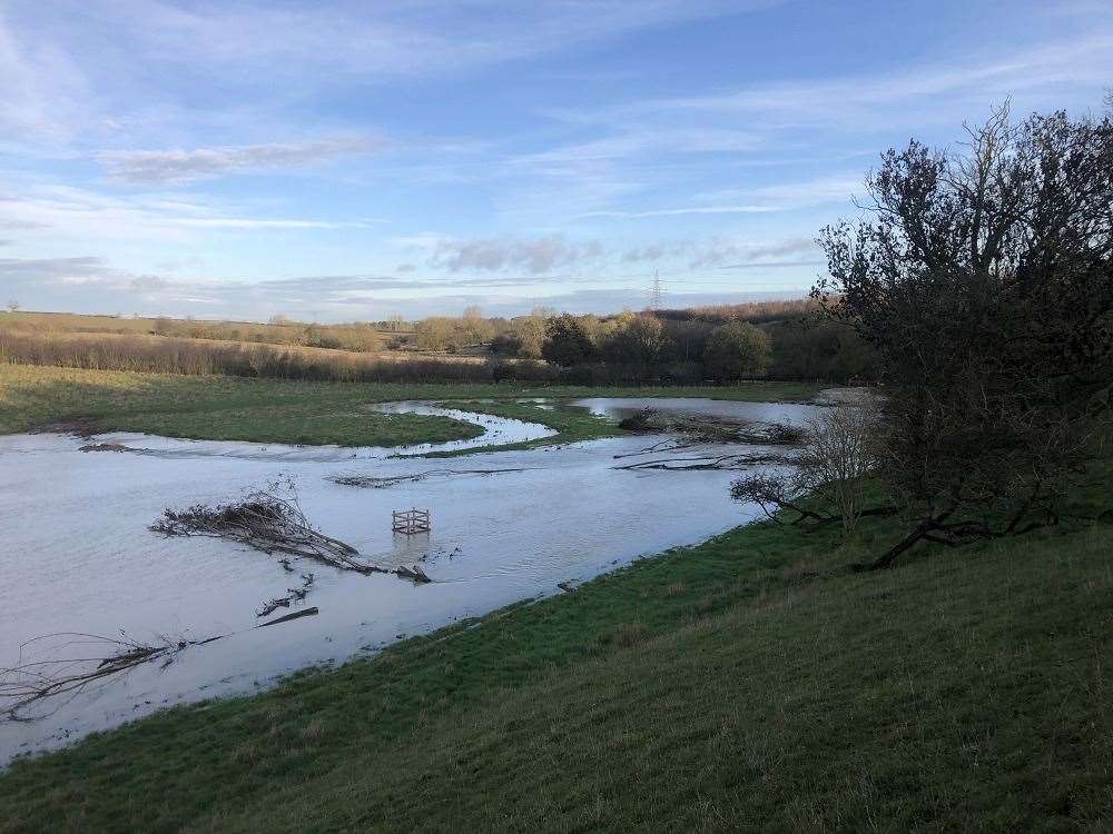 The project has created wetlands which help wildlife and reduces the risk of flooding and the effects of drought. (61259708)