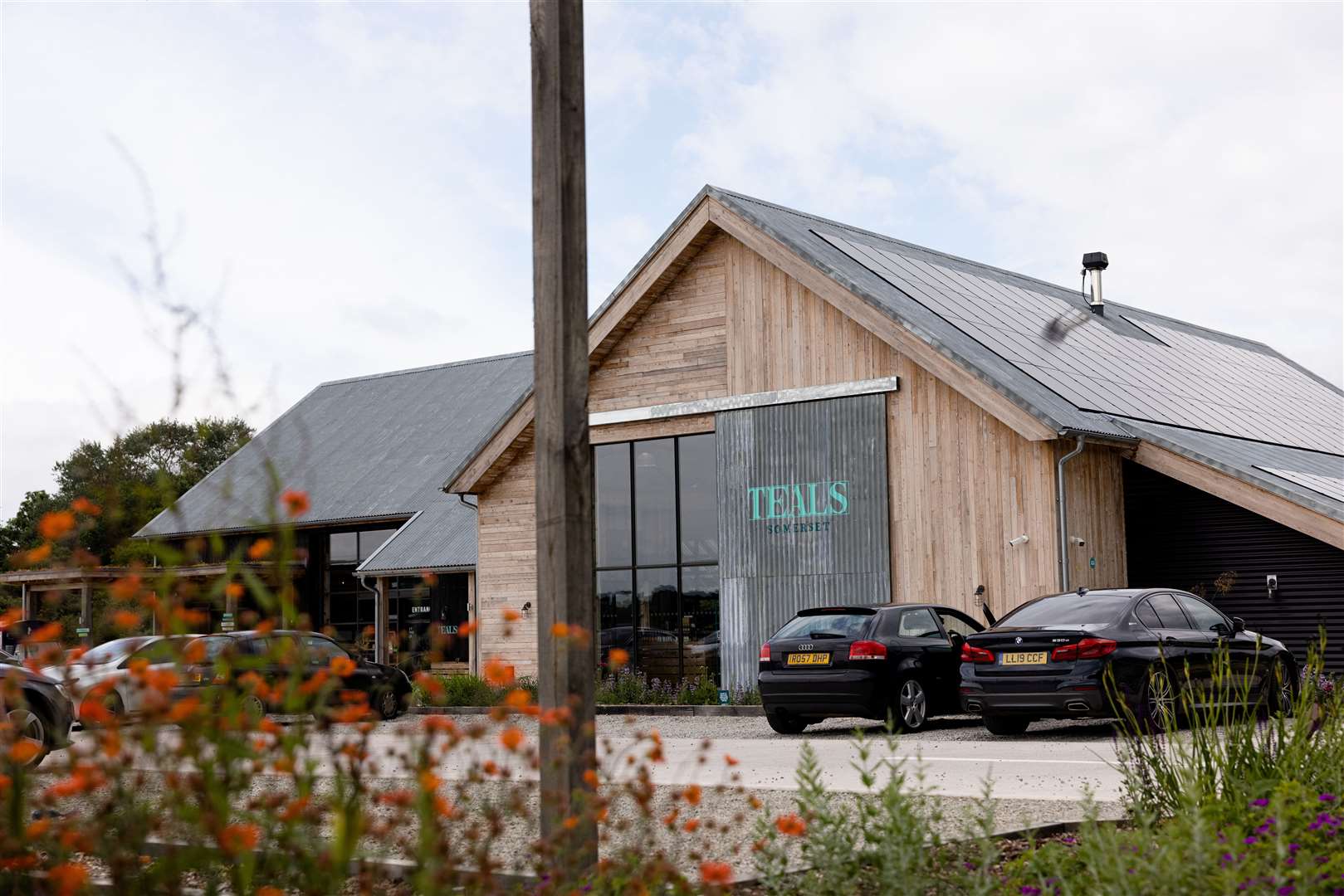 Teals in Somerset