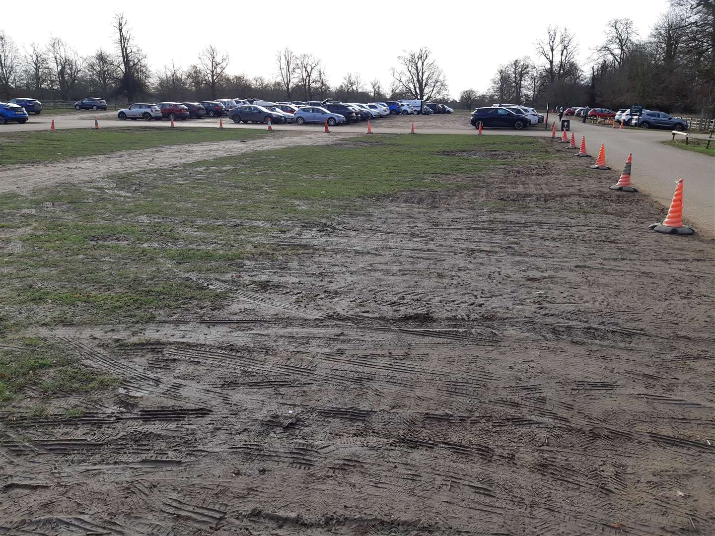 The muddy car park at Belton House. (62238912)