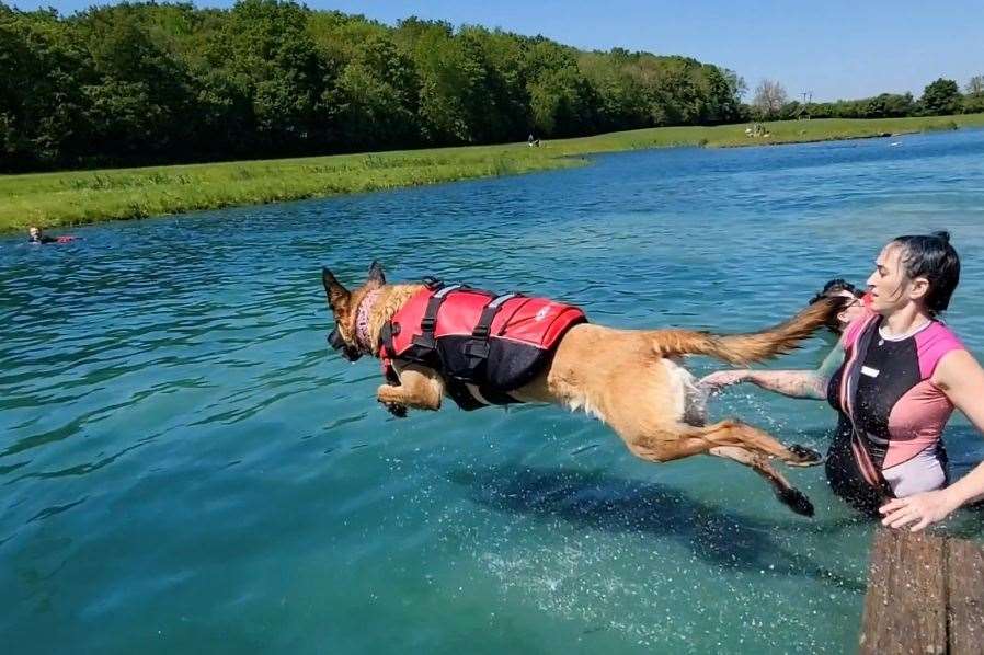 Dogs and their owners love it