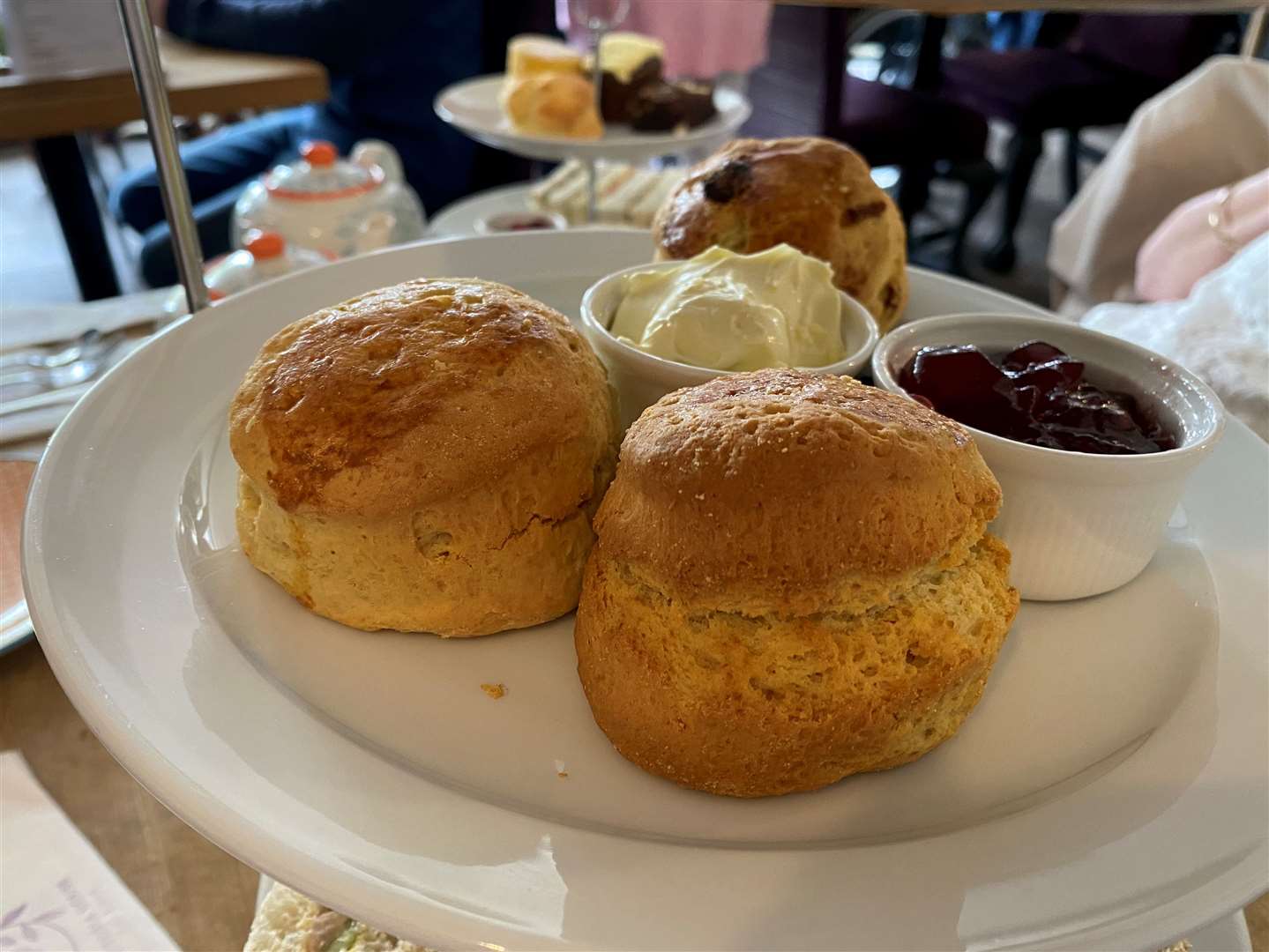 A mixture of plain and fruit scones with clotted cream and jam