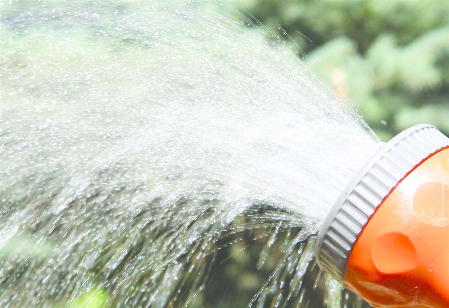 It is a good idea to irrigate your garden while you are away (57764602)
