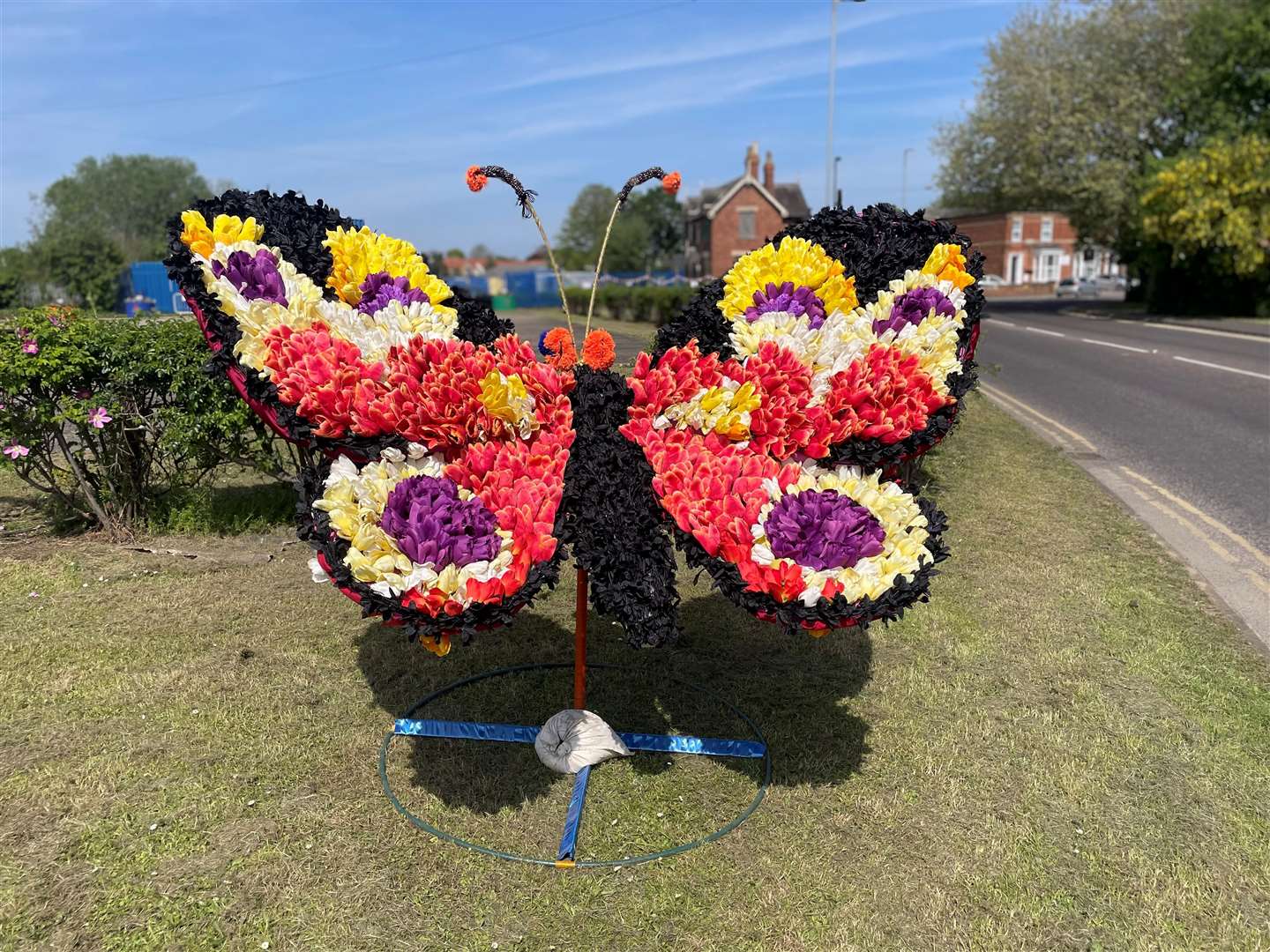 This beautiful butterfly will welcome visitors