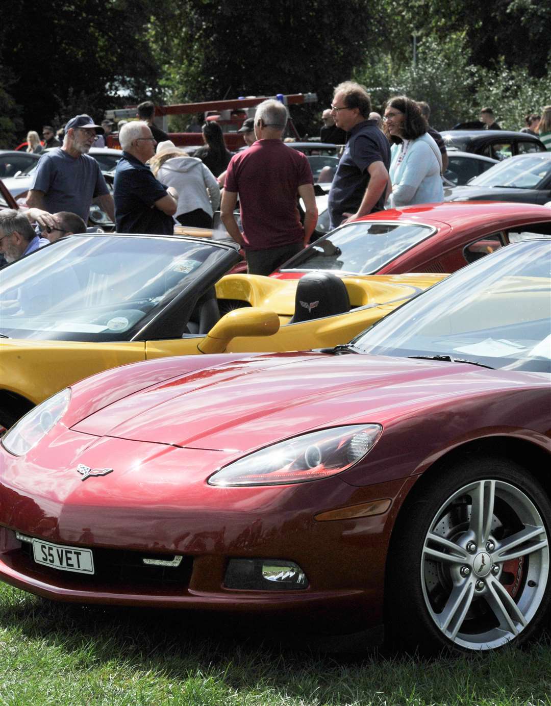 Hundreds of classic cars were on display. Photo: Chris Lowndes