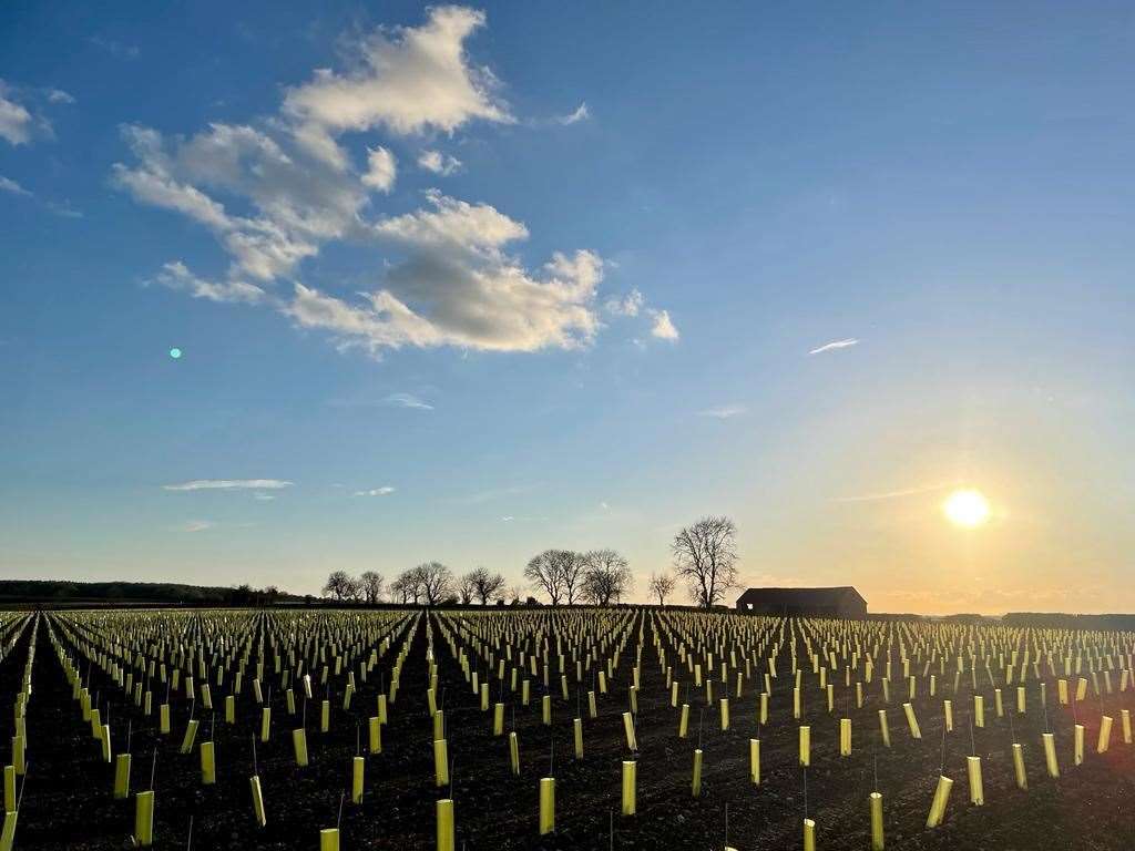 Rutland Vineyard in Ketton