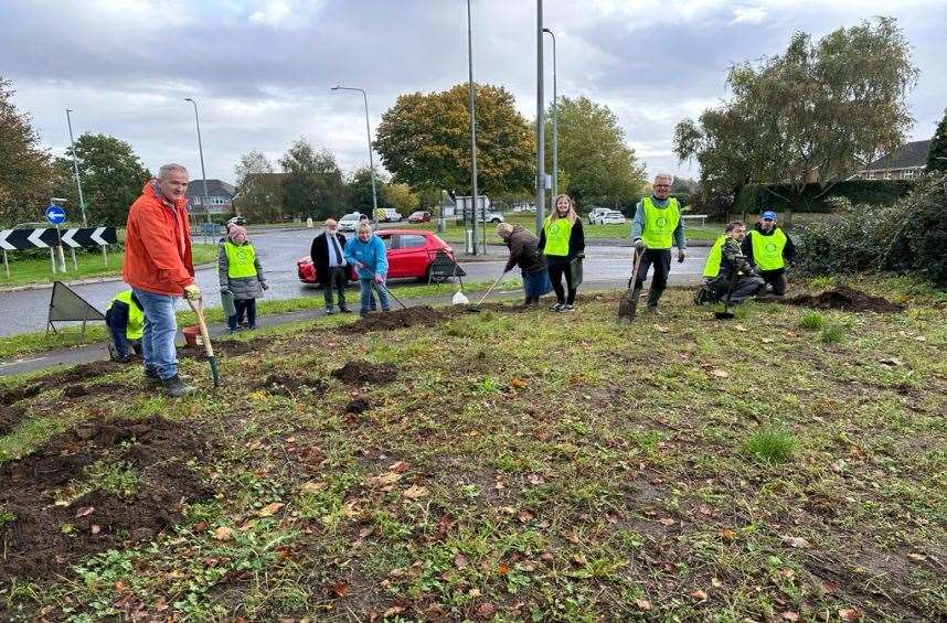 Daffodils bulbs were planted at the Barrowby roundabout.