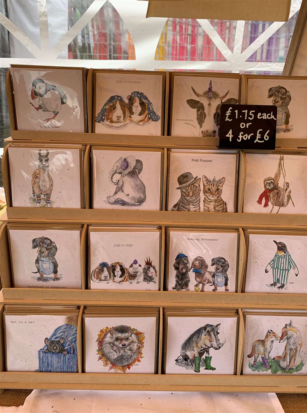 Katie Ford loves painting animals and her work is available on greetings cards and other items