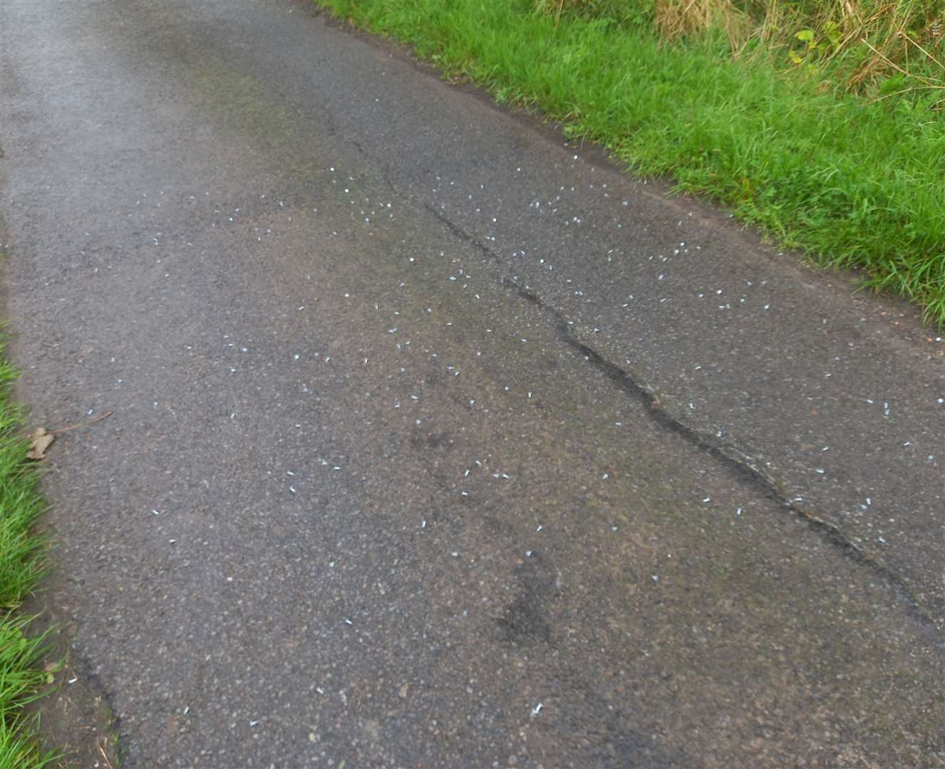 Nails are being deliberately scatted on roads