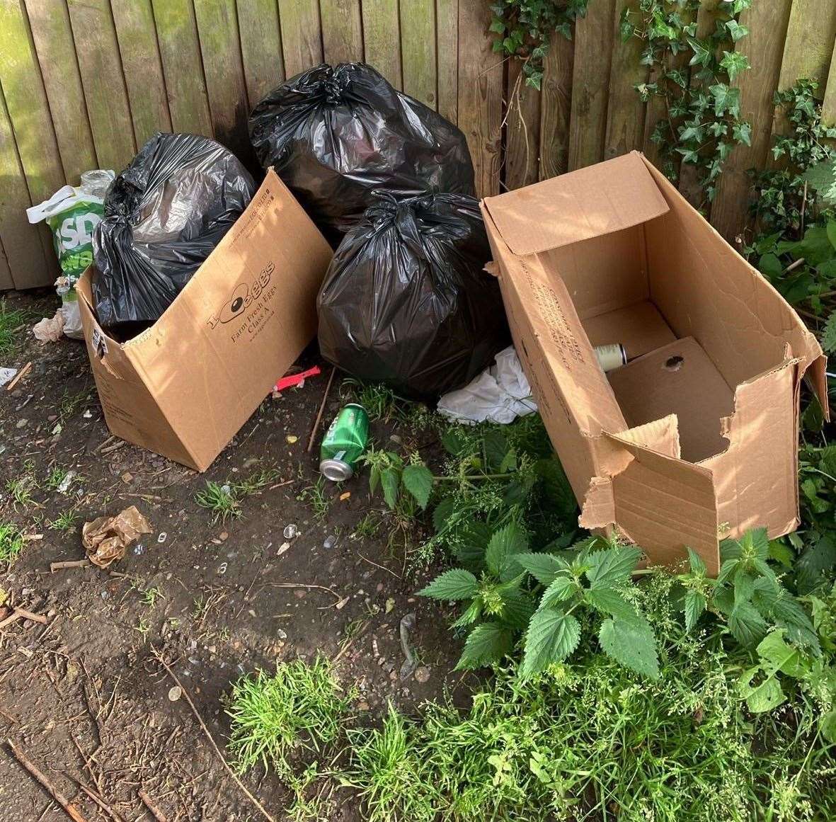 Waste dumped in Boston