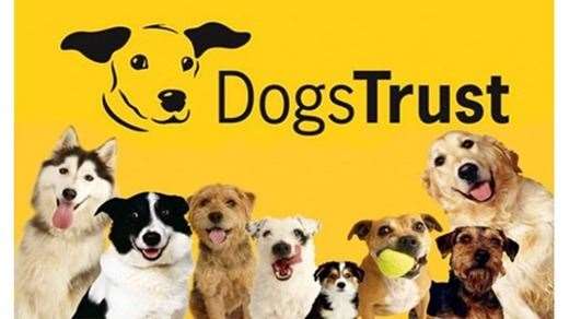 Dogs Trust
