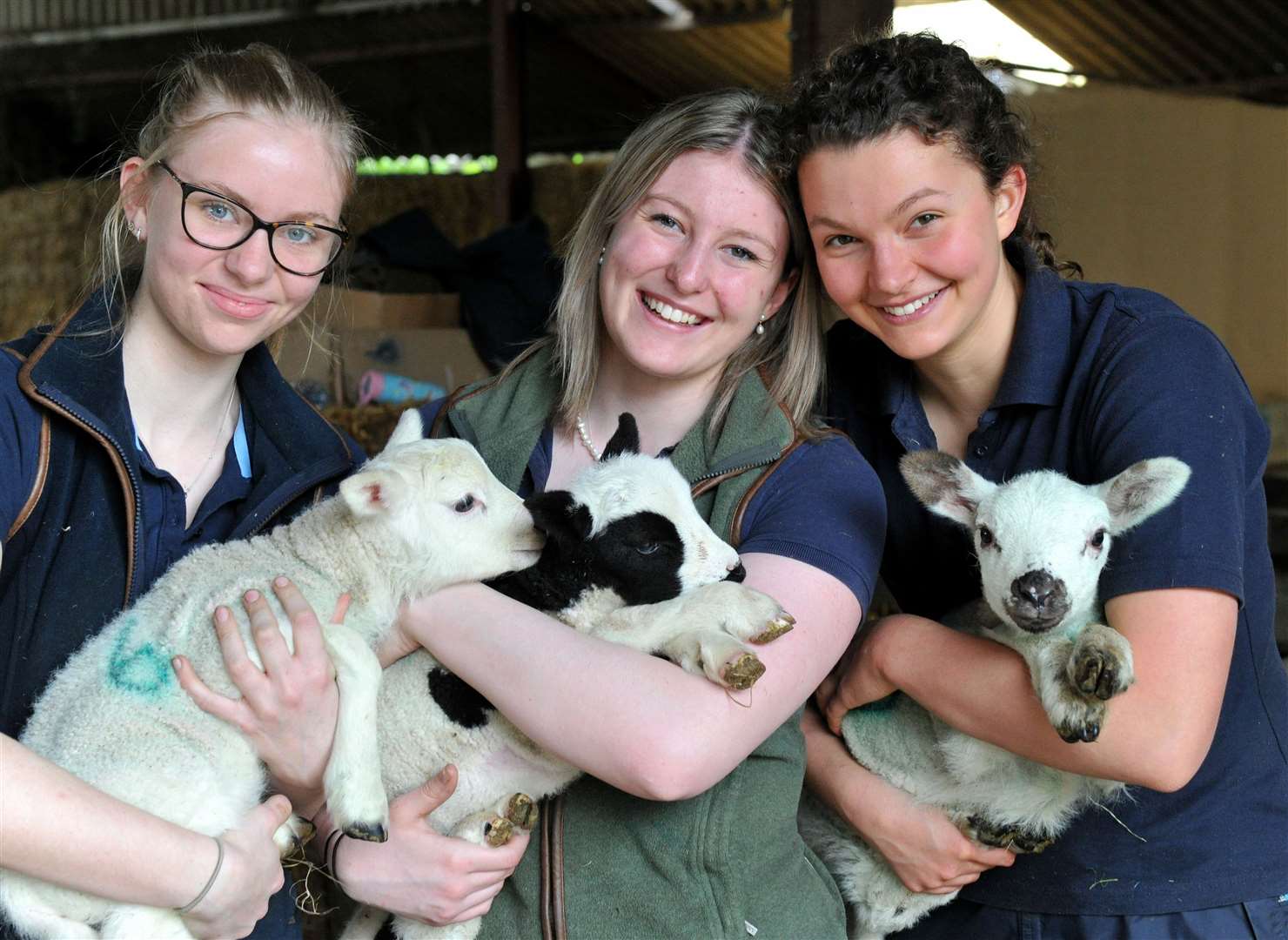 Helpers on the farm have a rewarding job - Abbey Simmons, Grace Palmer Brown and Caitlin Morris