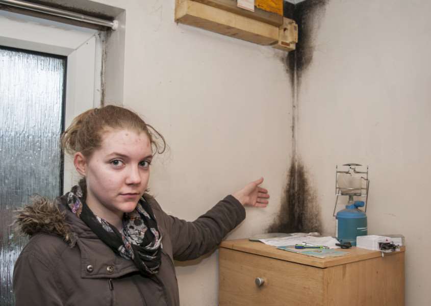 Mould at home of Anna Masterston in Potters Close, Bourne