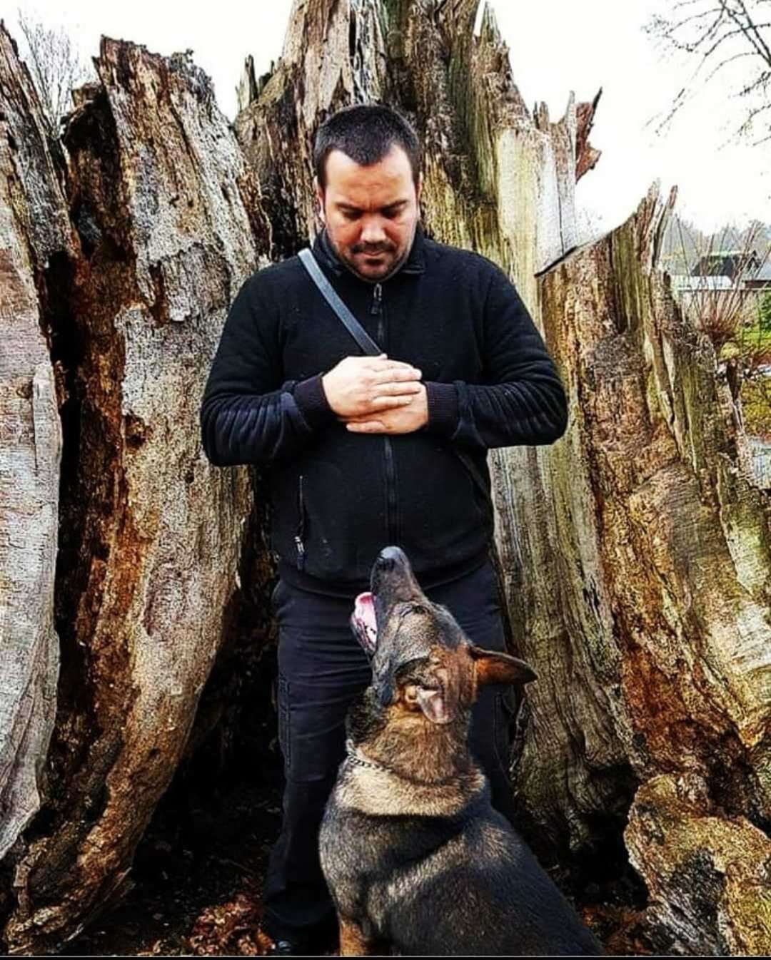 Miguel trains the dogs to take them to clubs, festivals, football games and more