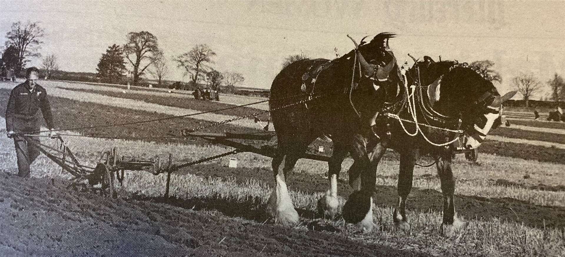 Going back in time - John Goodwin with his team of horses 25 years ago.