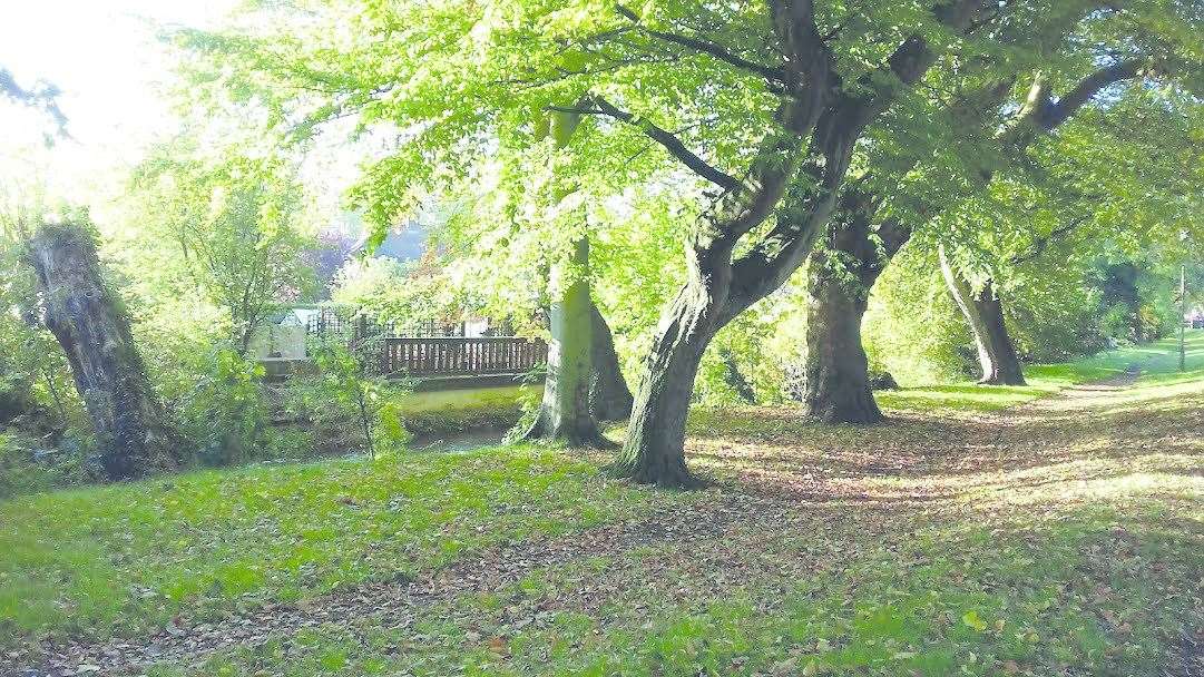 Queen Elizabeth Park. (50808970)
