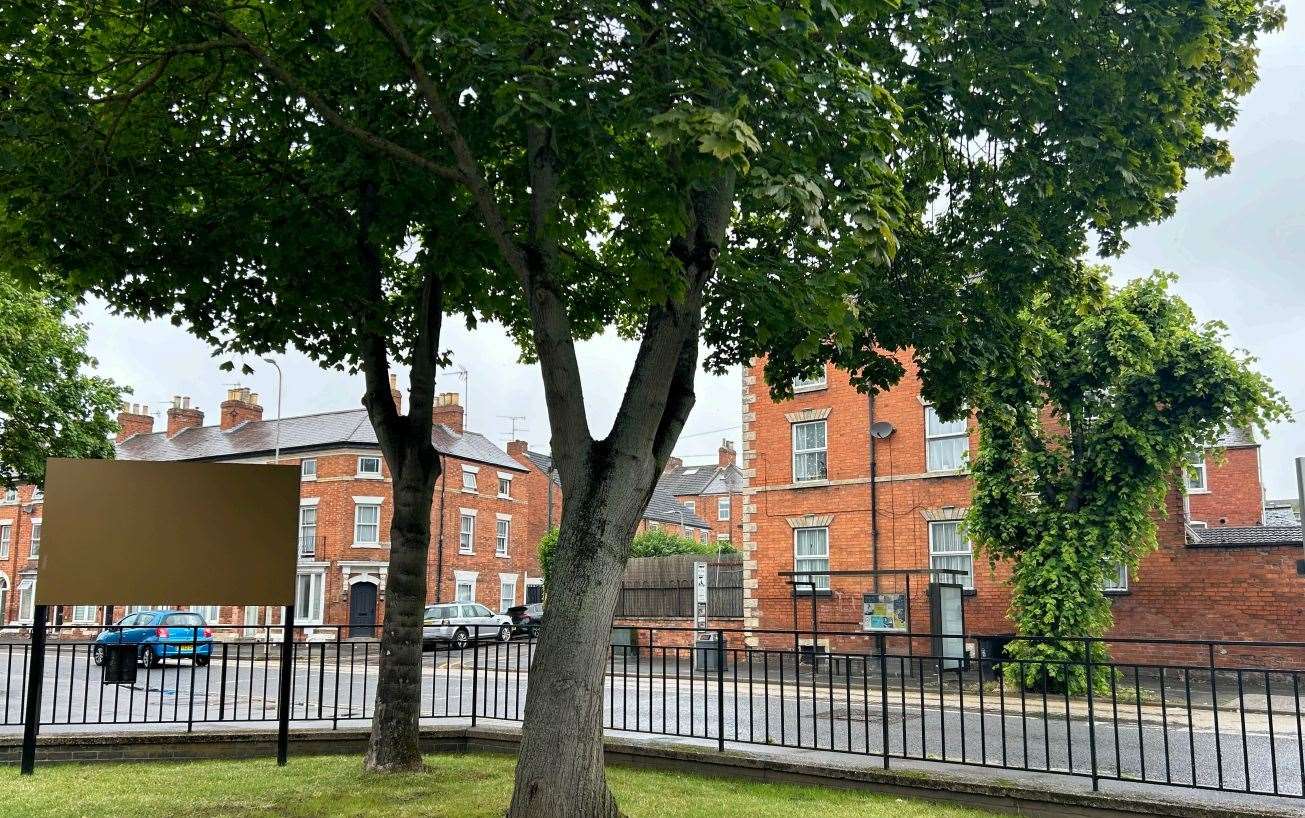 The King's School proposes to remove a tree and its roots. Photo: SKDC