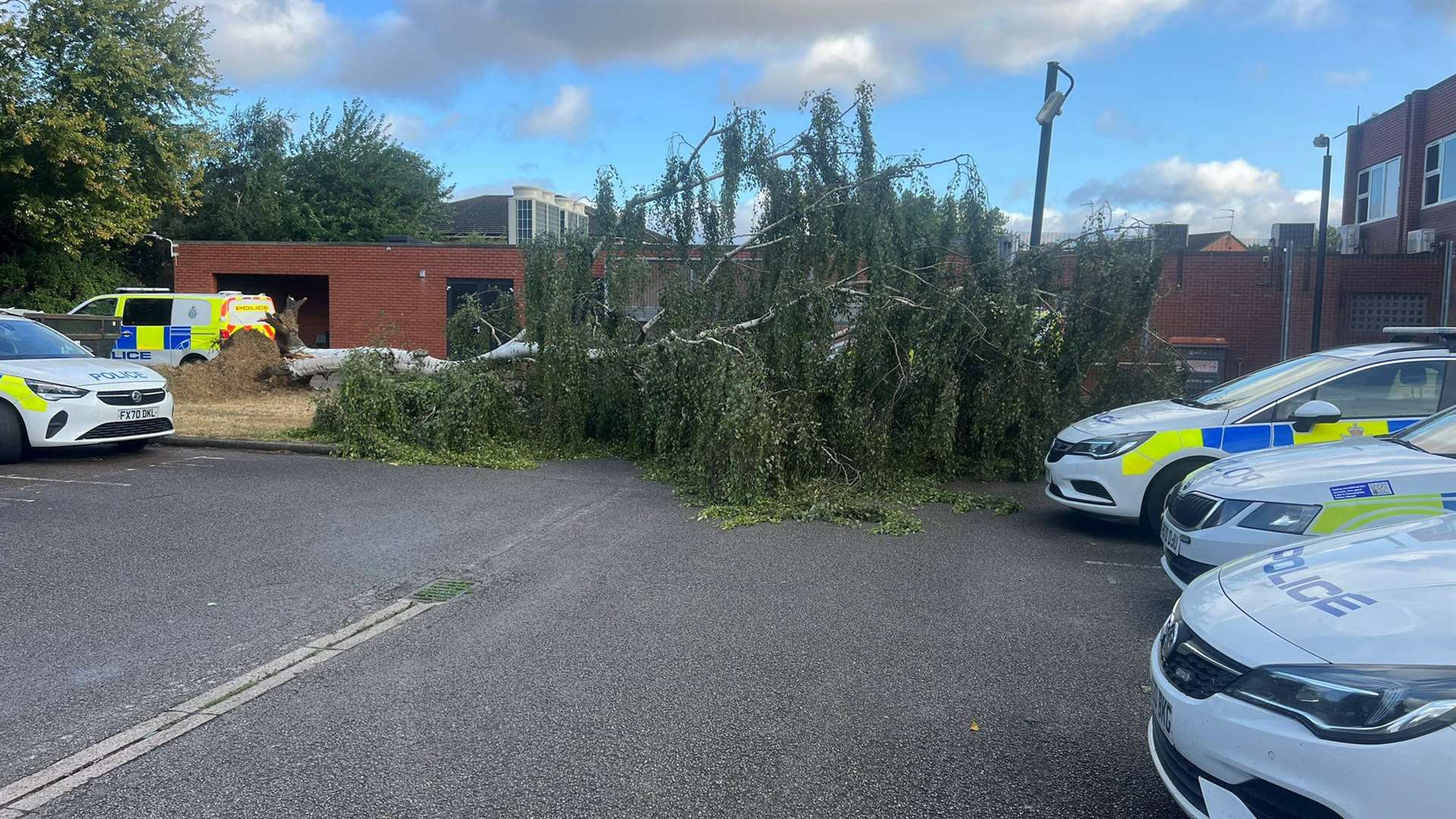 The fallen tree at Gainsborough Police Station on Friday morning. Photo: Lincolnshire Police Drones/@LincsCOPter
