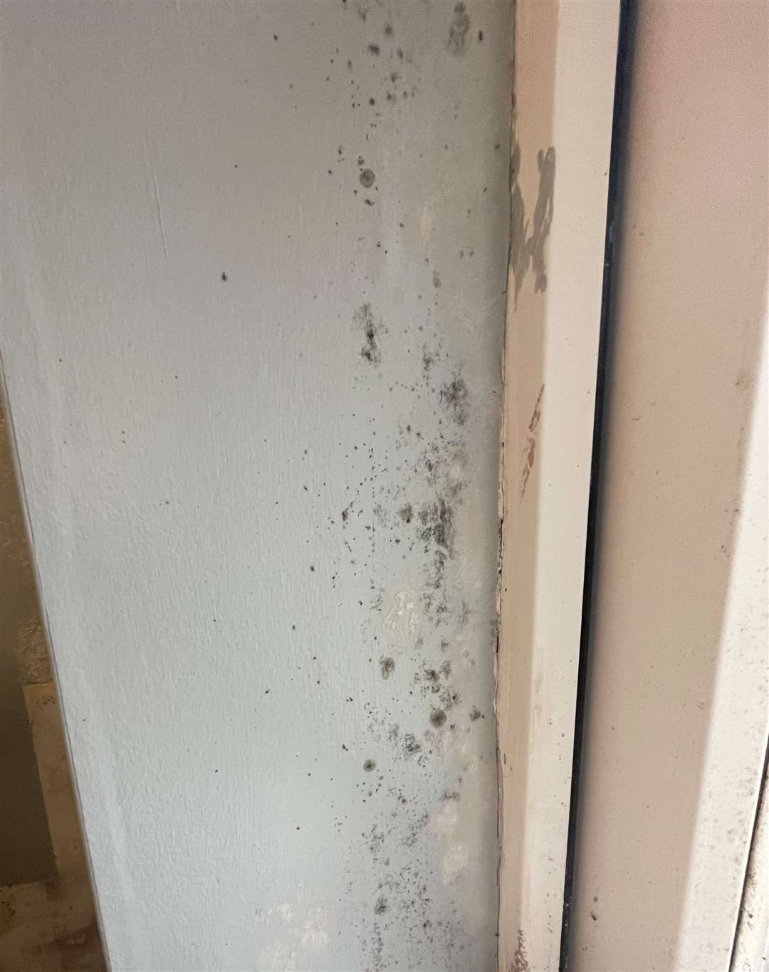 Mould at the Cooke's home