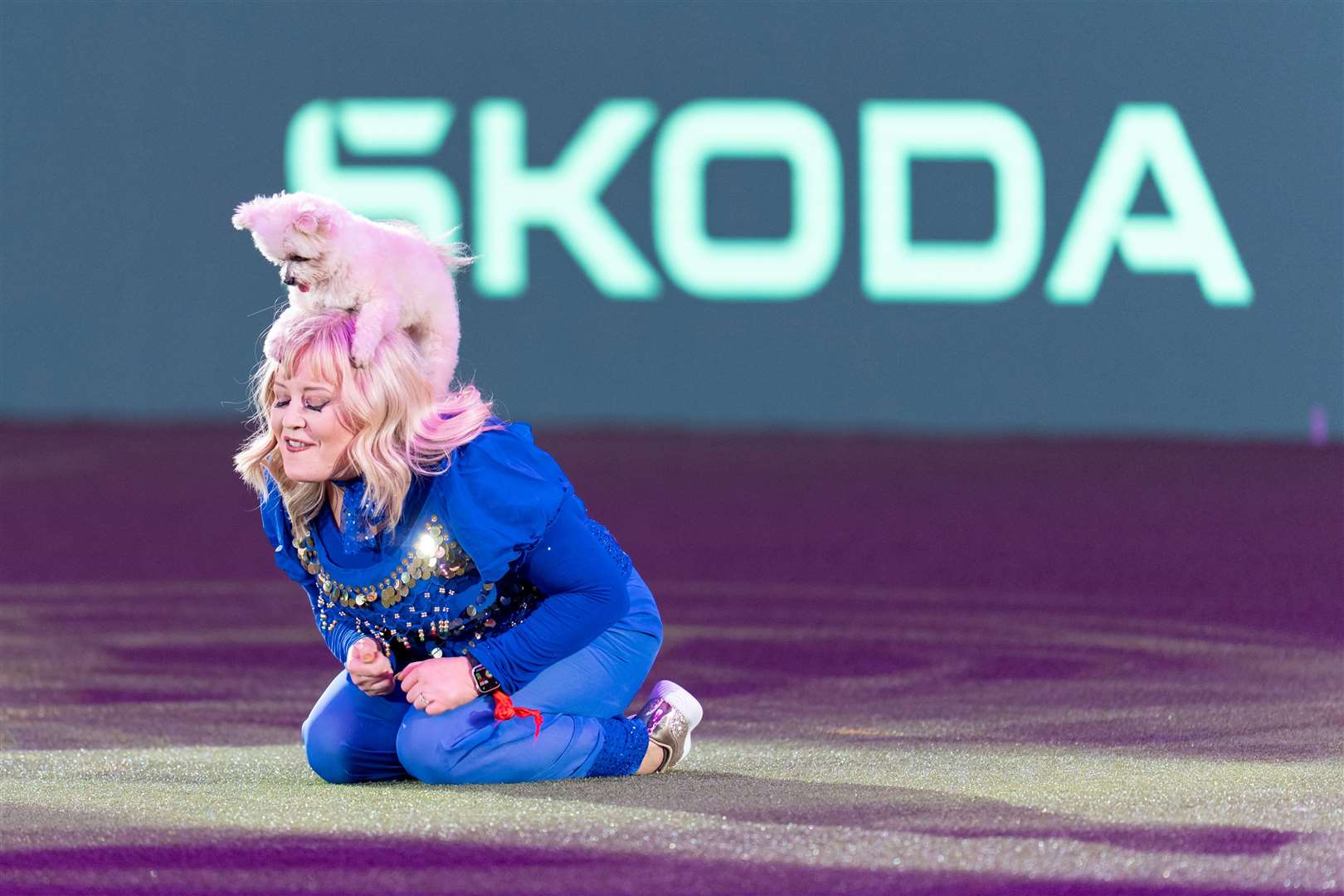 Lucy Heath and trip performing on the third day of Crufts 2025. Photo: BeatMedia/The Royal Kennel Club