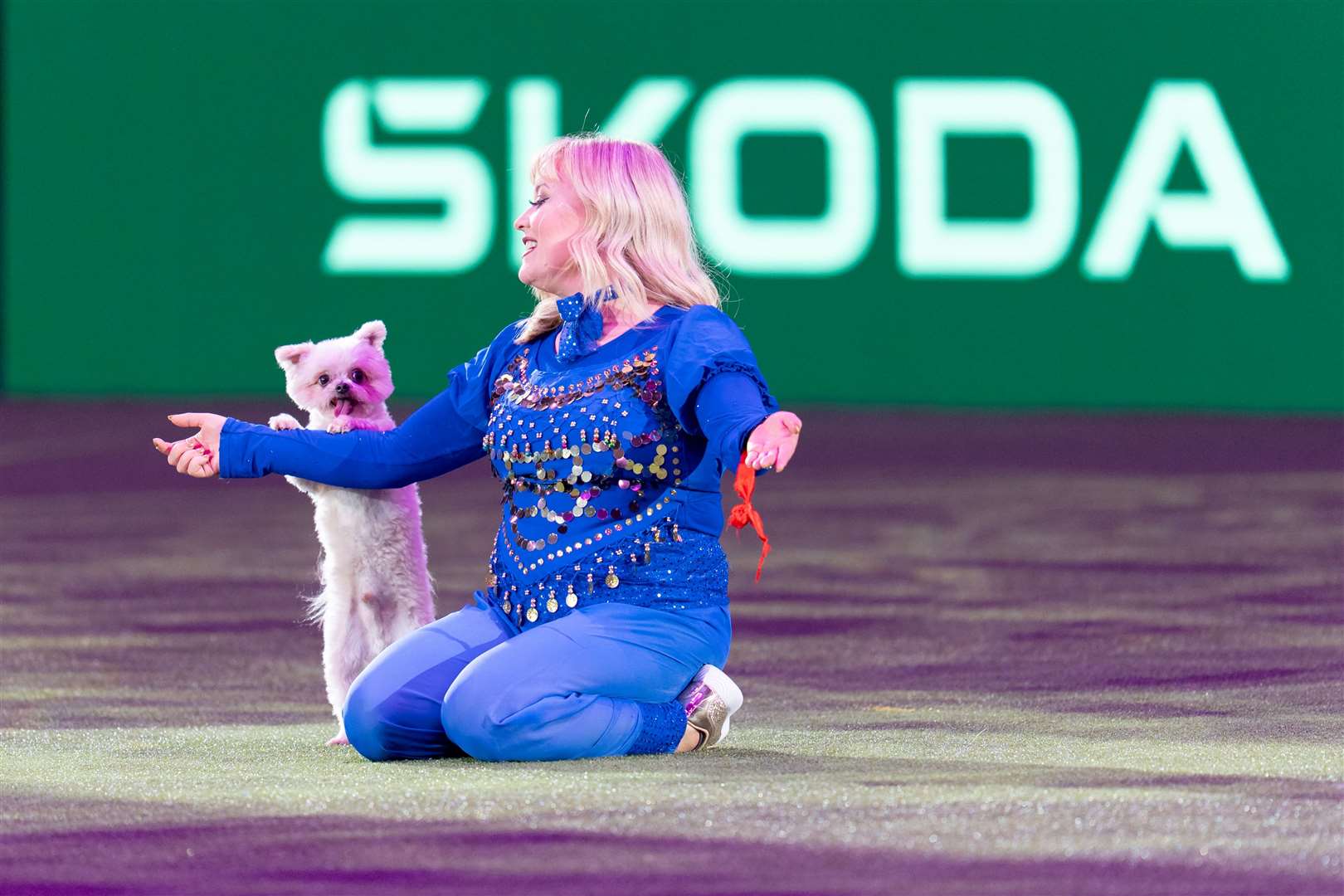 Lucy celebrated back-to-back wins at Crufts 2025 with Foxy and Trip Hazard (pictured). Photo: BeatMedia/The Royal Kennel Club