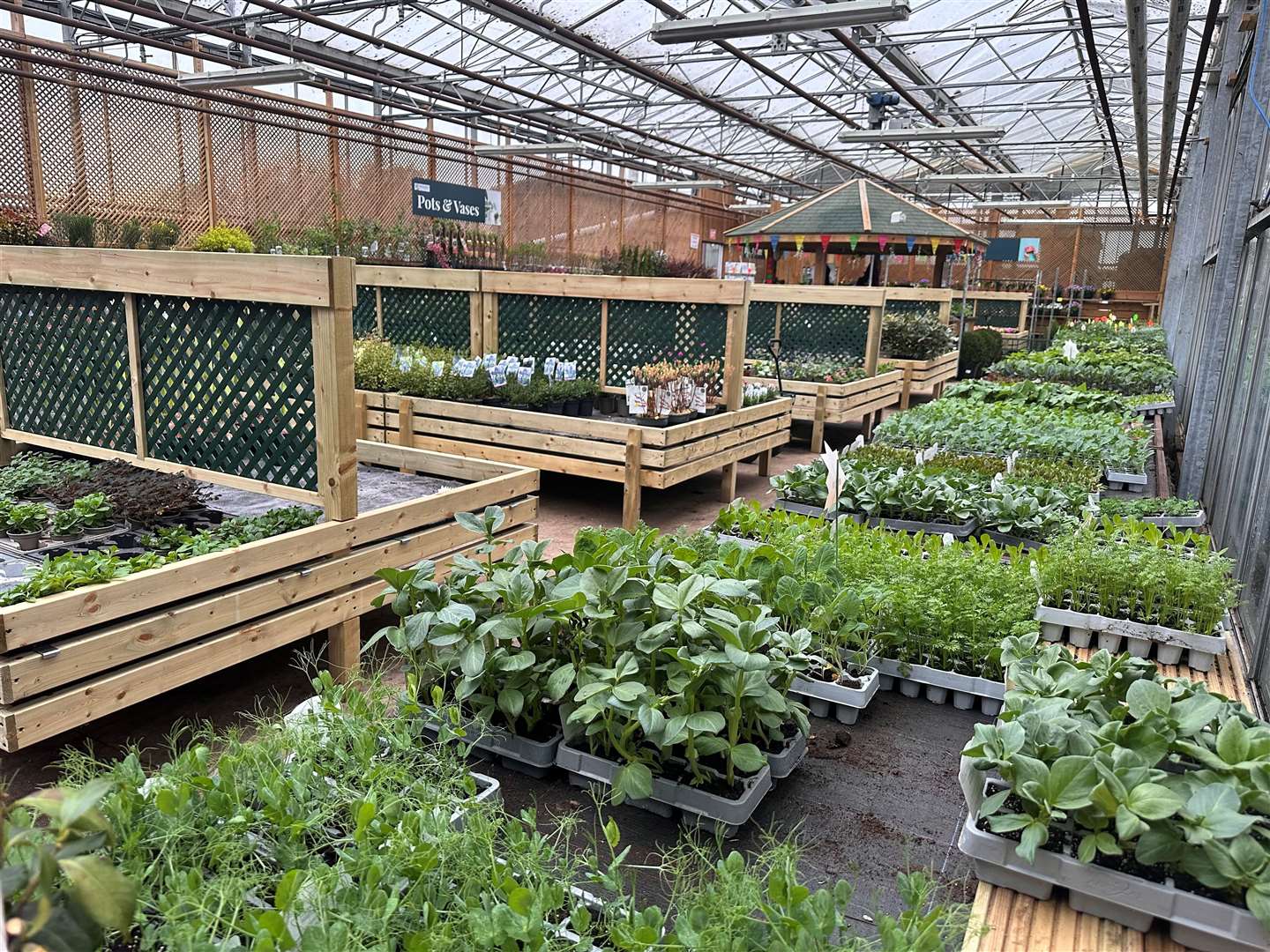 The nursery specialises in houseplants