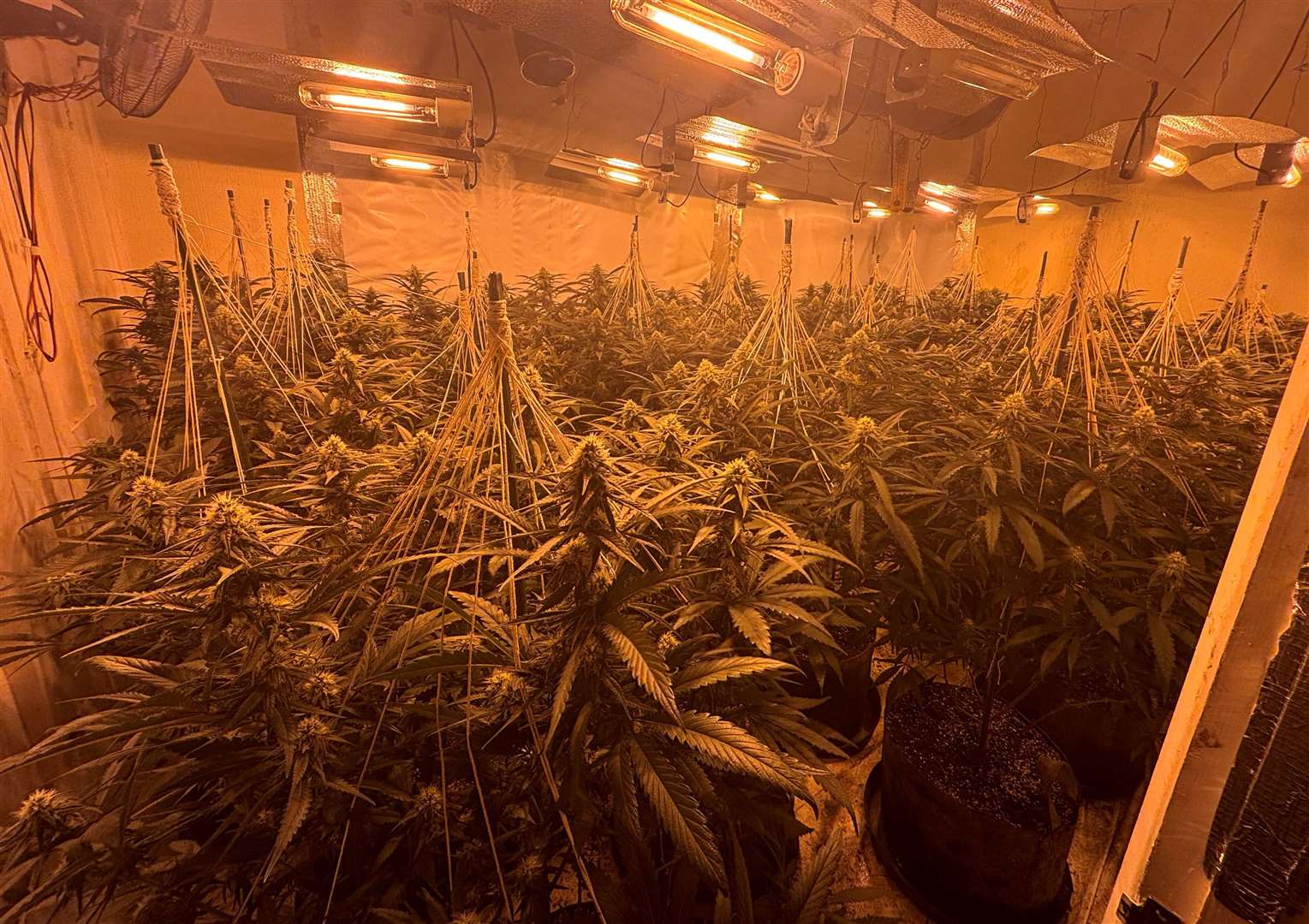 Police carried out the warrants in Stamford, Woodston, Walton, Bretton, Gunthorpe and Fletton