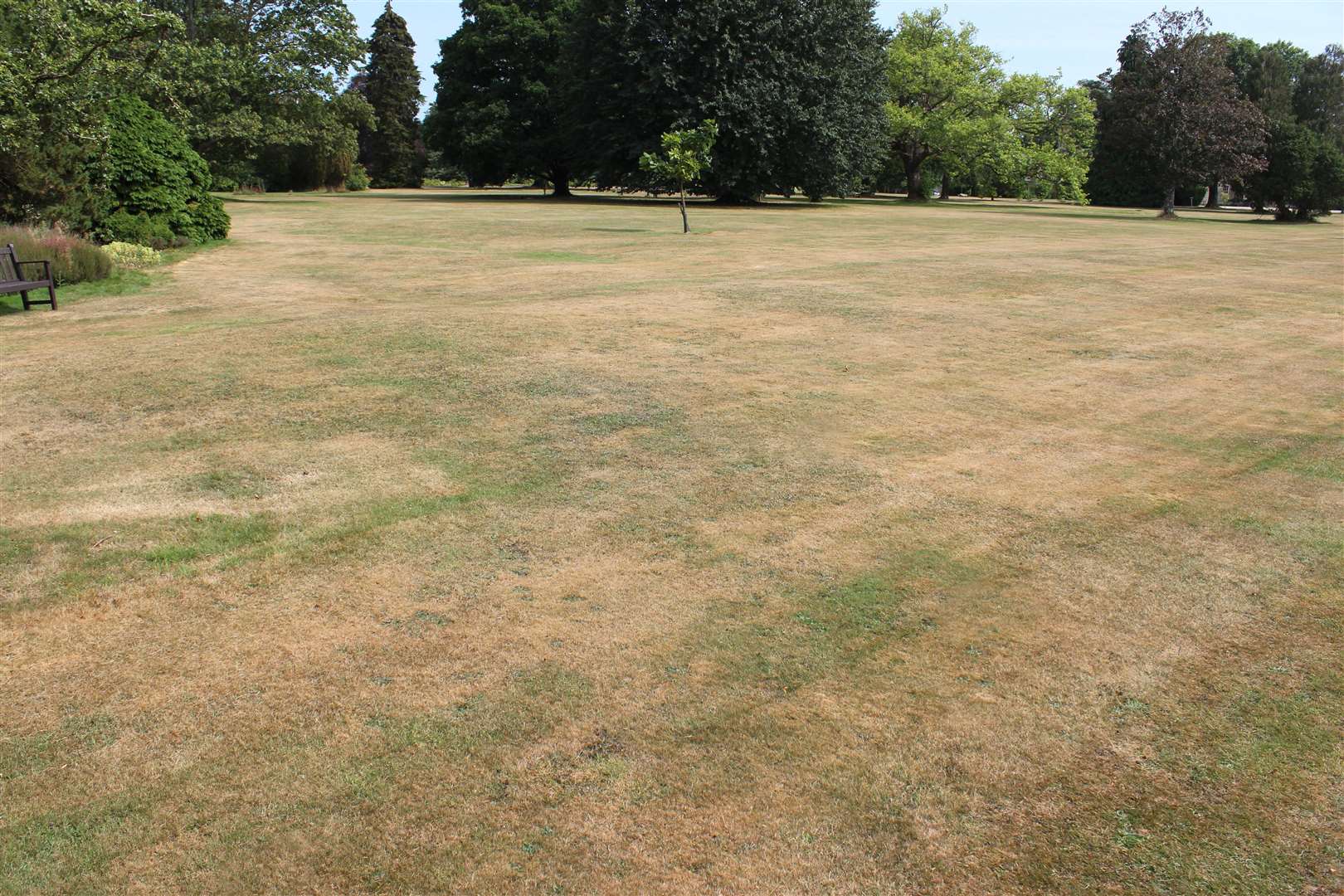 There are parched conditions across the county as a result of little rain