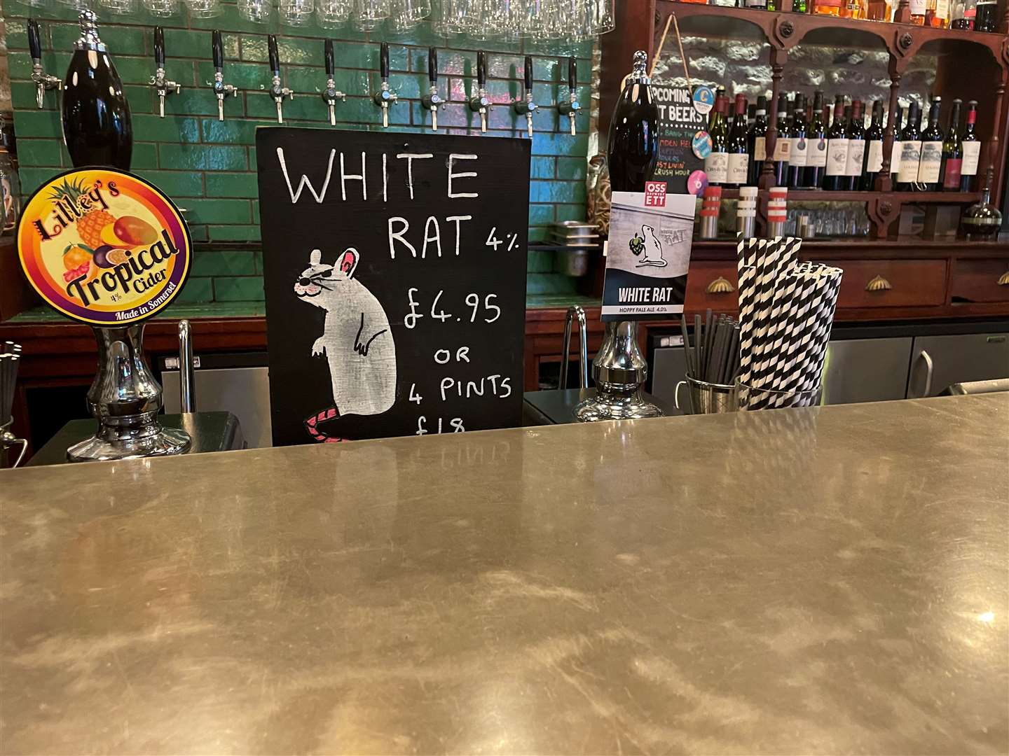 There's a rat on my bar, what am I gonna do?