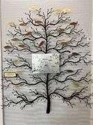 The organ donation memorial tree