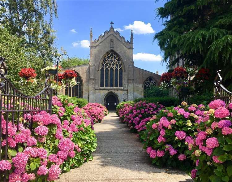 Reader Julie Smart took this picture of the entrance to St Mary's Church in Long Sutton looking beautiful with pink hydrangeas along the path