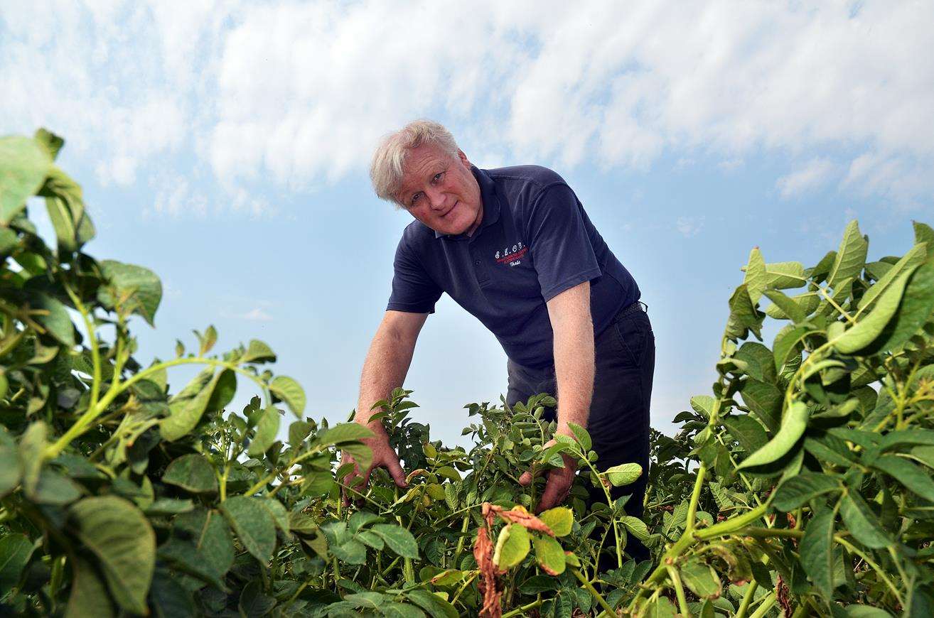 Farmer Chris Carter, from Deeping St Nicholas, is just one of those who have been affected by this year's dry weather, which has affected his wheat and potato crops.