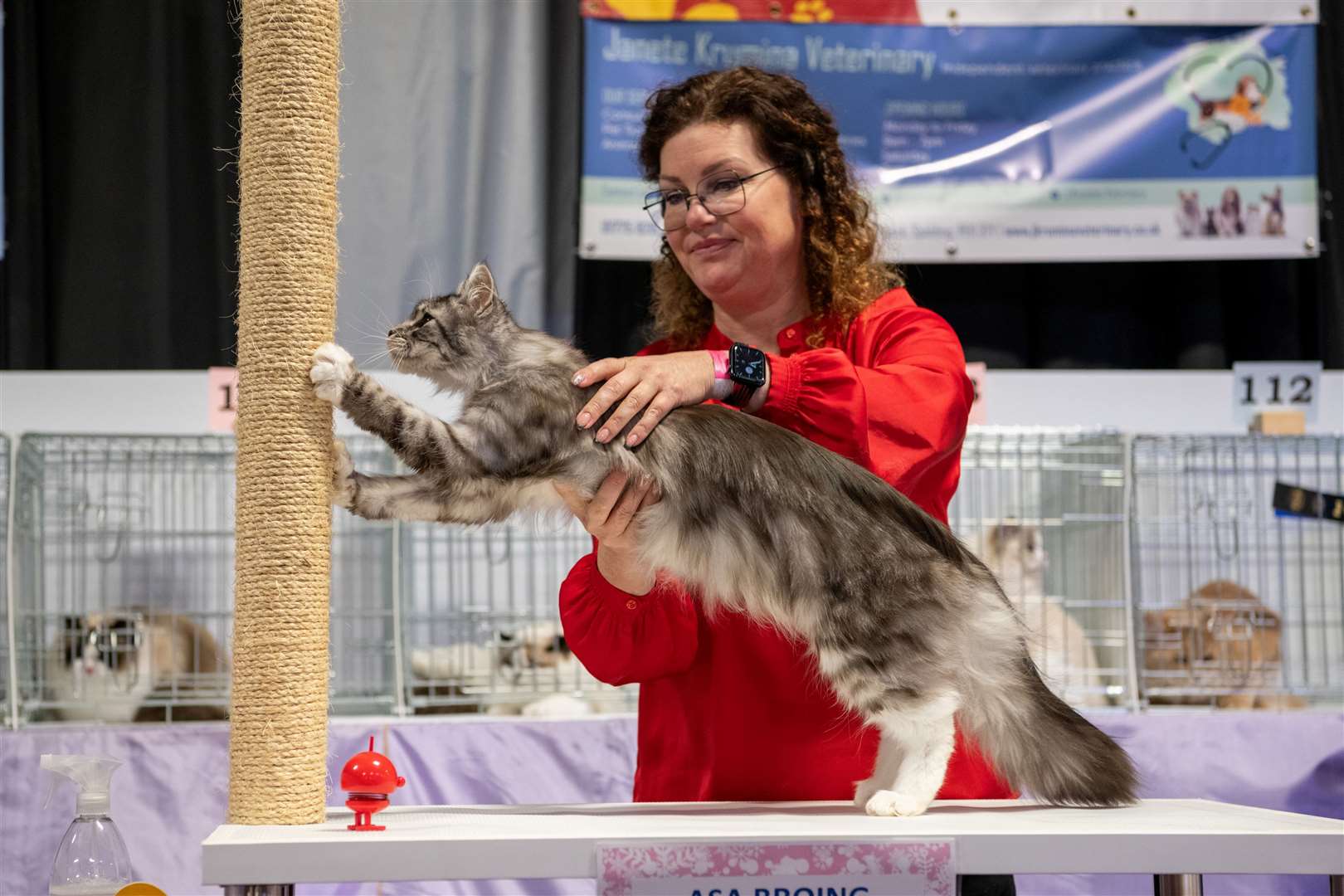 TiCats and Cakes cat show will be back