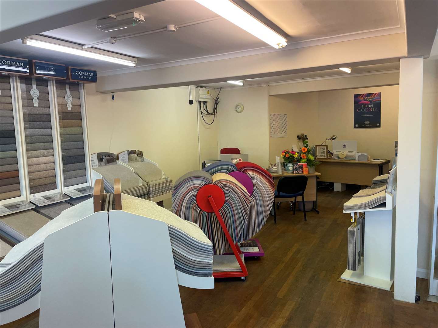 Inside the Cozy Carpet Company