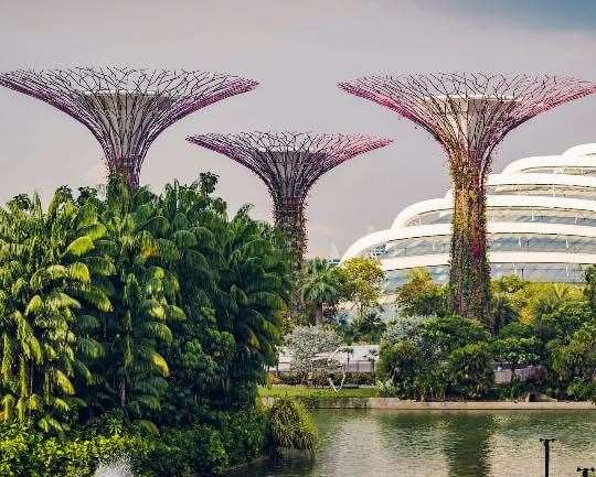 Singapore. Photo: Travel Counsellors