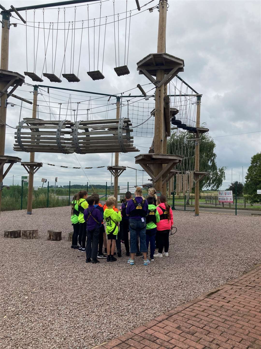 Enjoying high ropes (49508912)