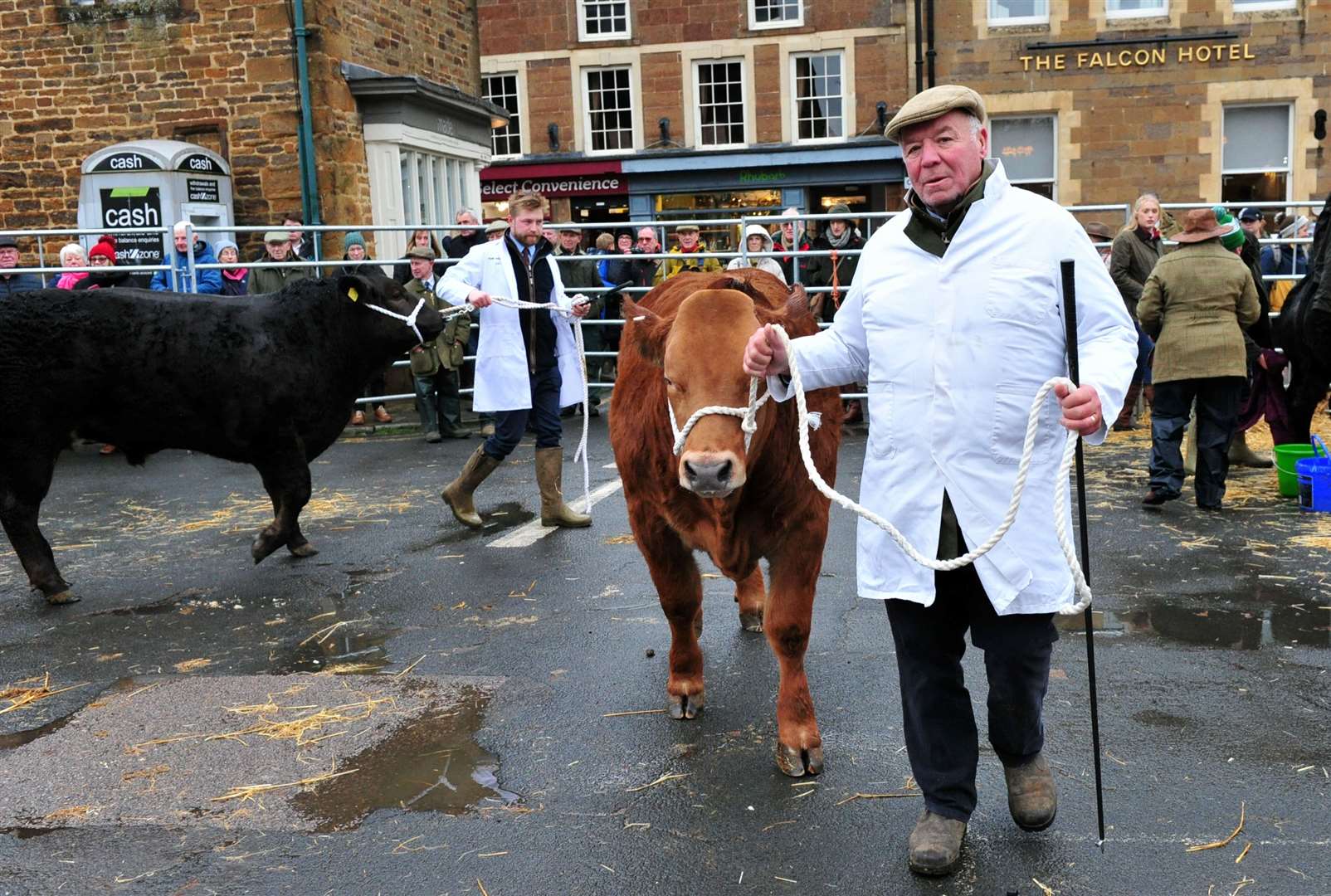 Trevor Lyon from Thurlby with a Limousin cow. Photo: Chris Lowndes.