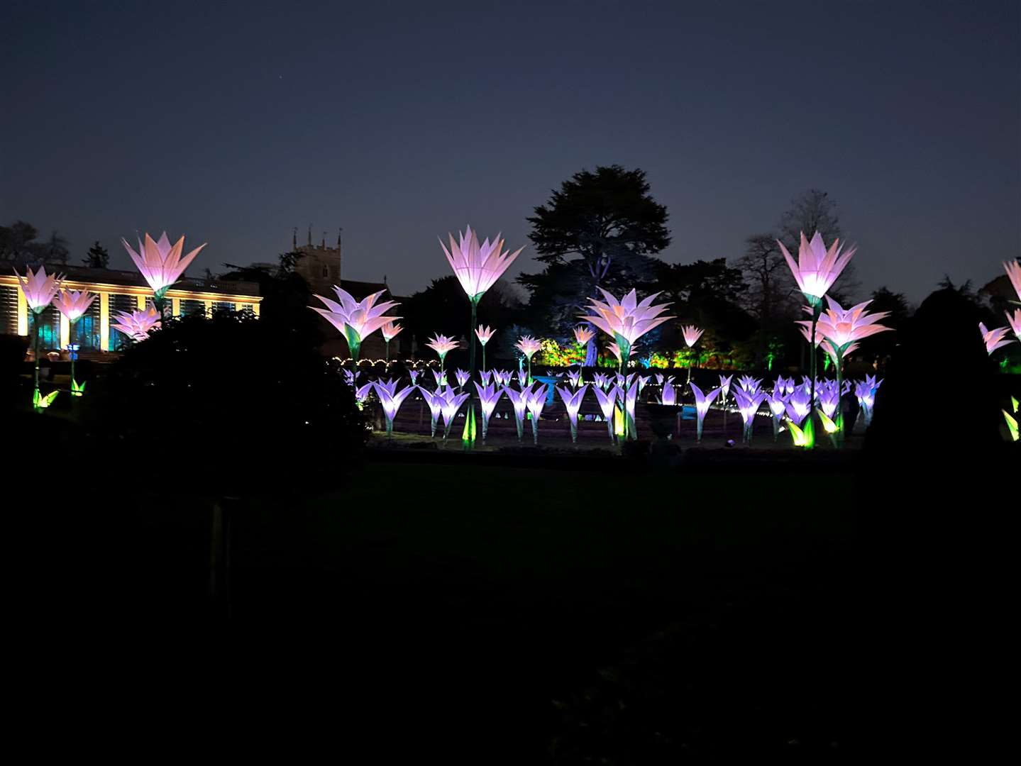 The flower lawn