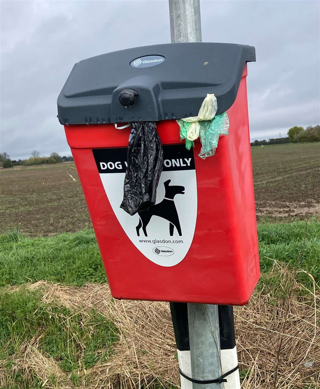 A full dog poo bin in Quadring