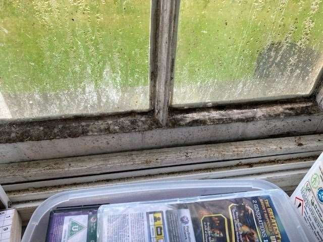 Black mould in a property at Lumby’s Terrace