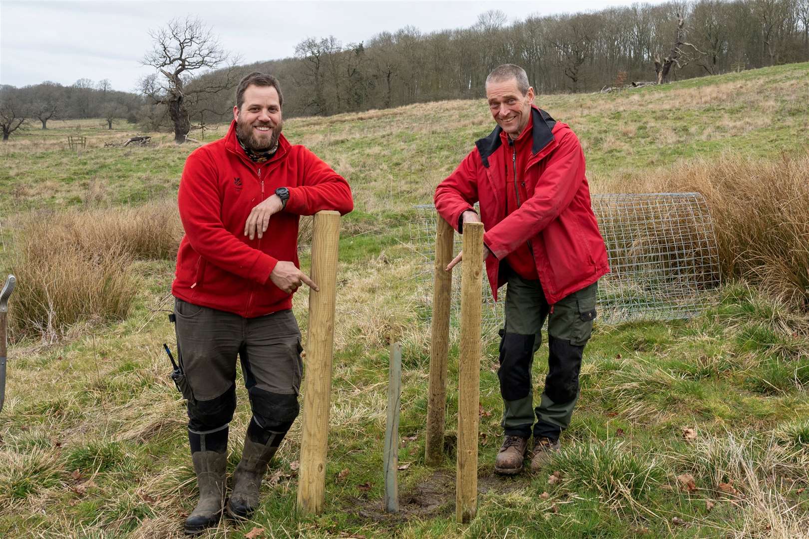 Belton Estate rangers Nick Brown and Chris Shaw with the final tree planted on the East Avenue. Image: Jon Pear