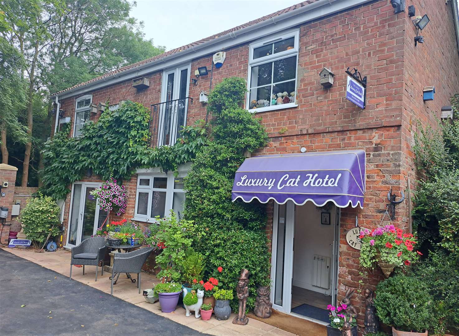 The Luxury Cat Hotel in Boston