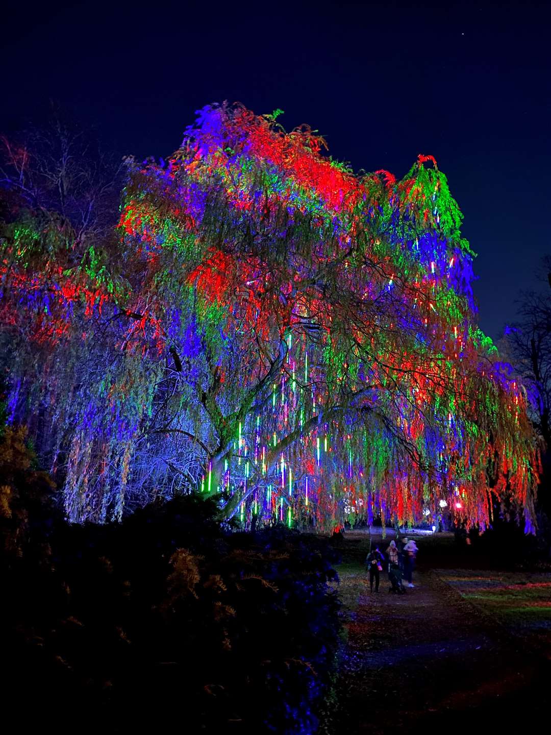 The cascade tree was full of colour