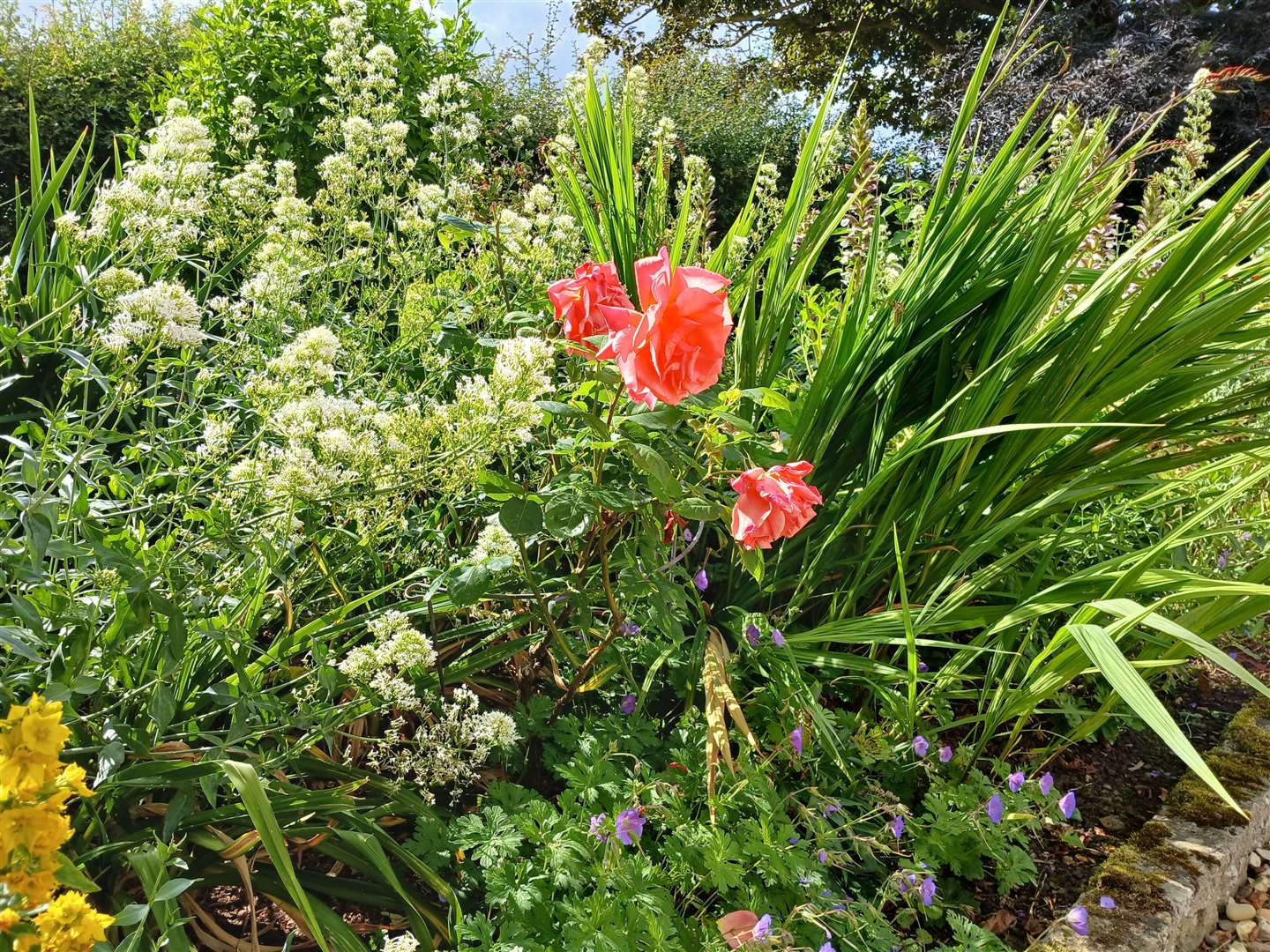Colours and textures are a feature of the borders at Home Farm