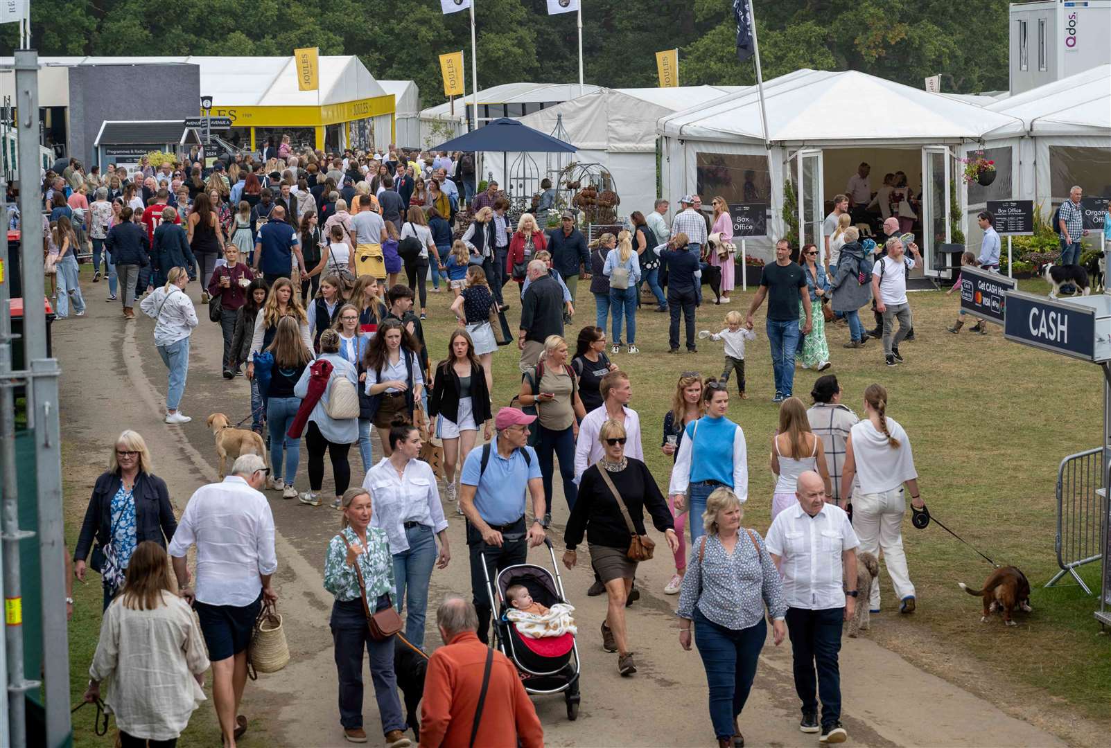 The horse trials attract thousands of visitors every year. Photo: Alan Walters