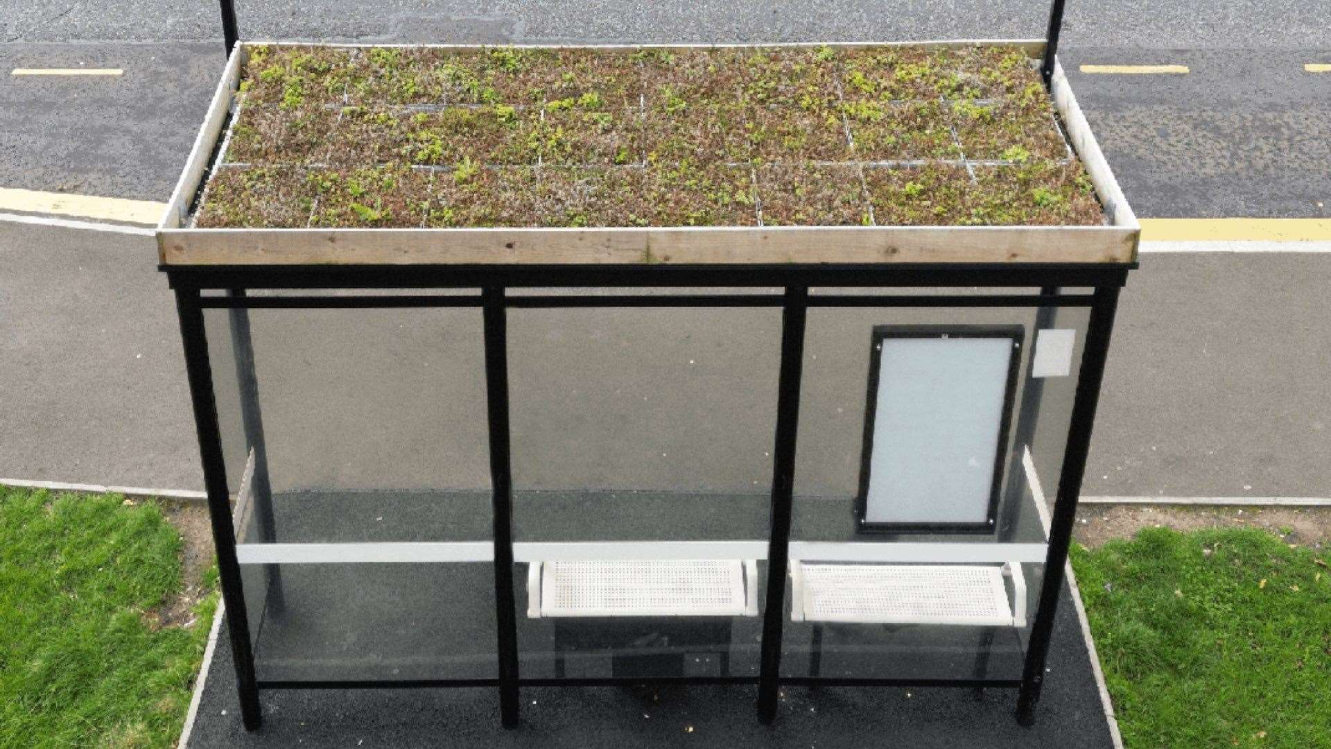 Buzz shelters