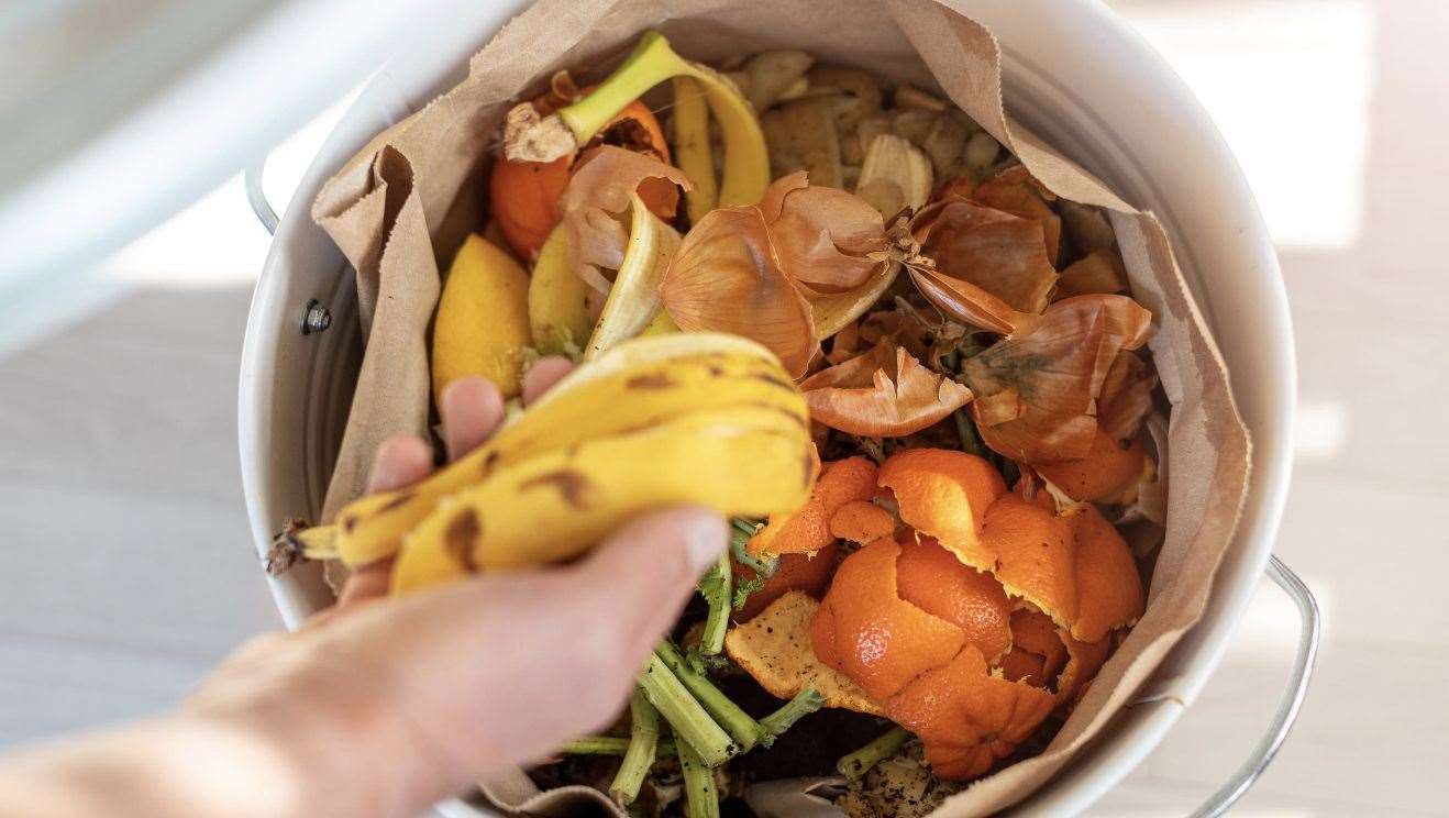 Food waste bin. | Image: Stock